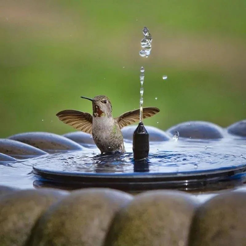 Artexis™ Prisma Springs Solar Powered Floating Water Fountain and Bird Bath